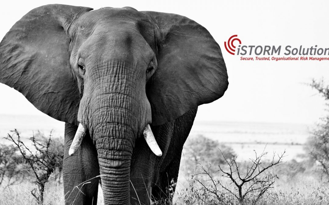 The GDPR is an Elephant…