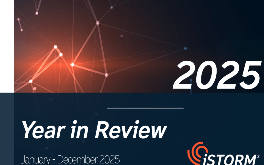 2025 Year In Review & Vulnerability Report