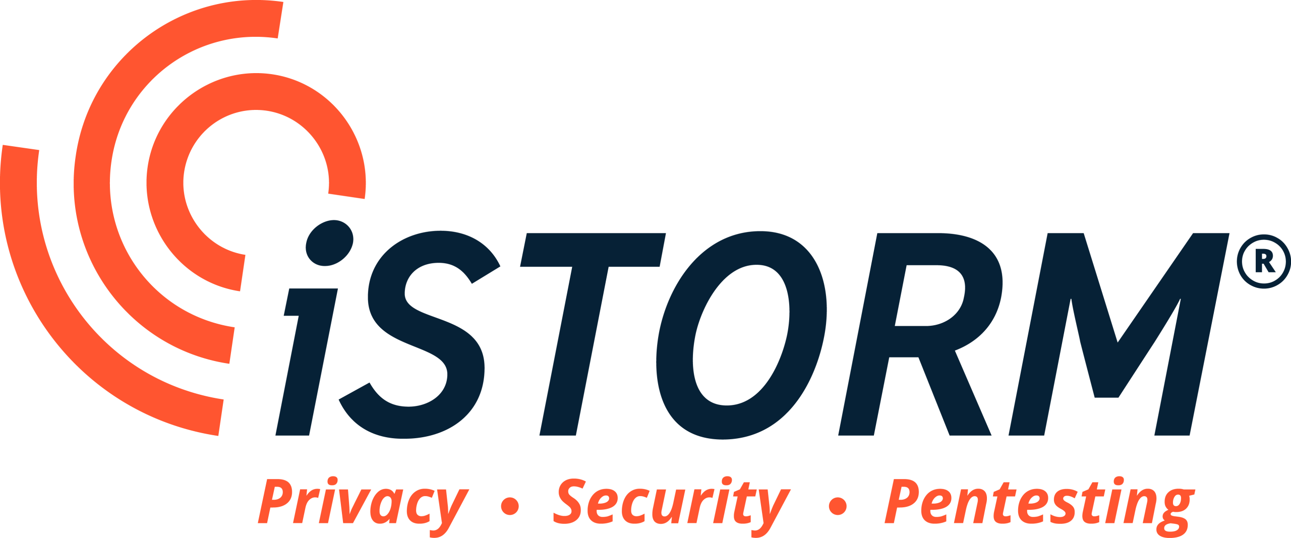 iSTORM® logo